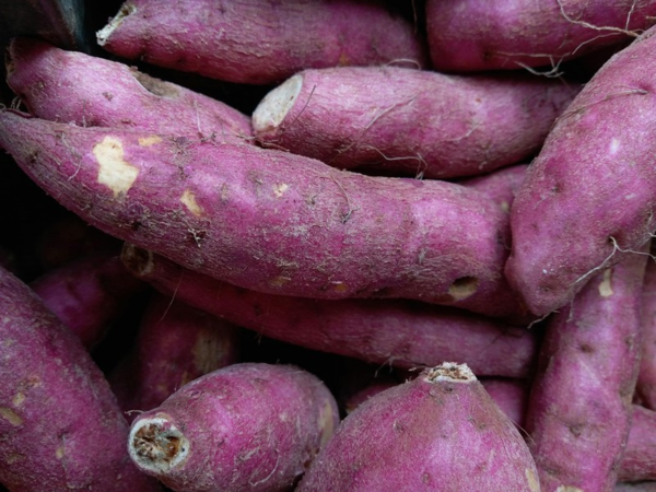 보랏빛 달콤함의 정체, '우베(Ube)'란 무엇인가?